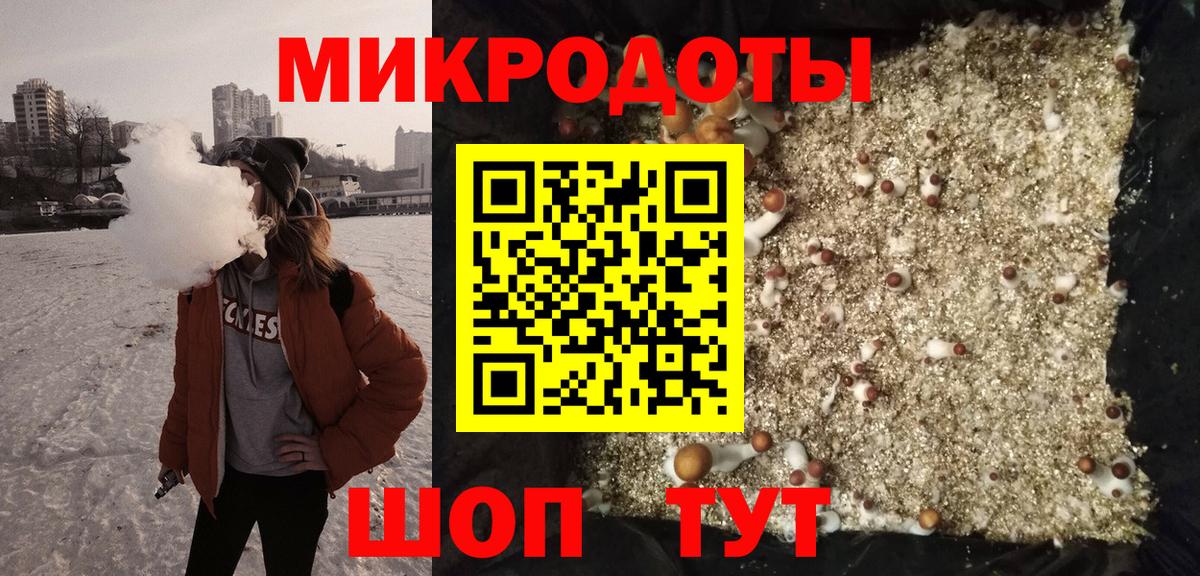 Большой Камень  Галлюциногенные грибы мухоморы  Псилоцибиновые грибы Psilocybe  Вход с VPN 